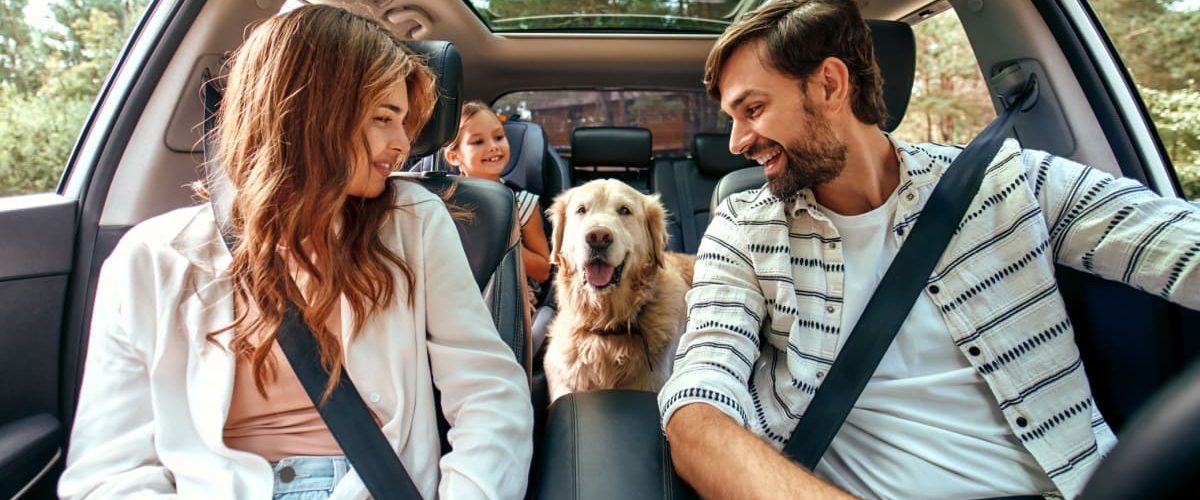 road trip cu familia