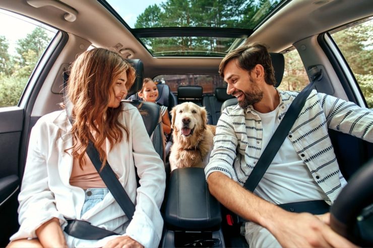 road trip cu familia